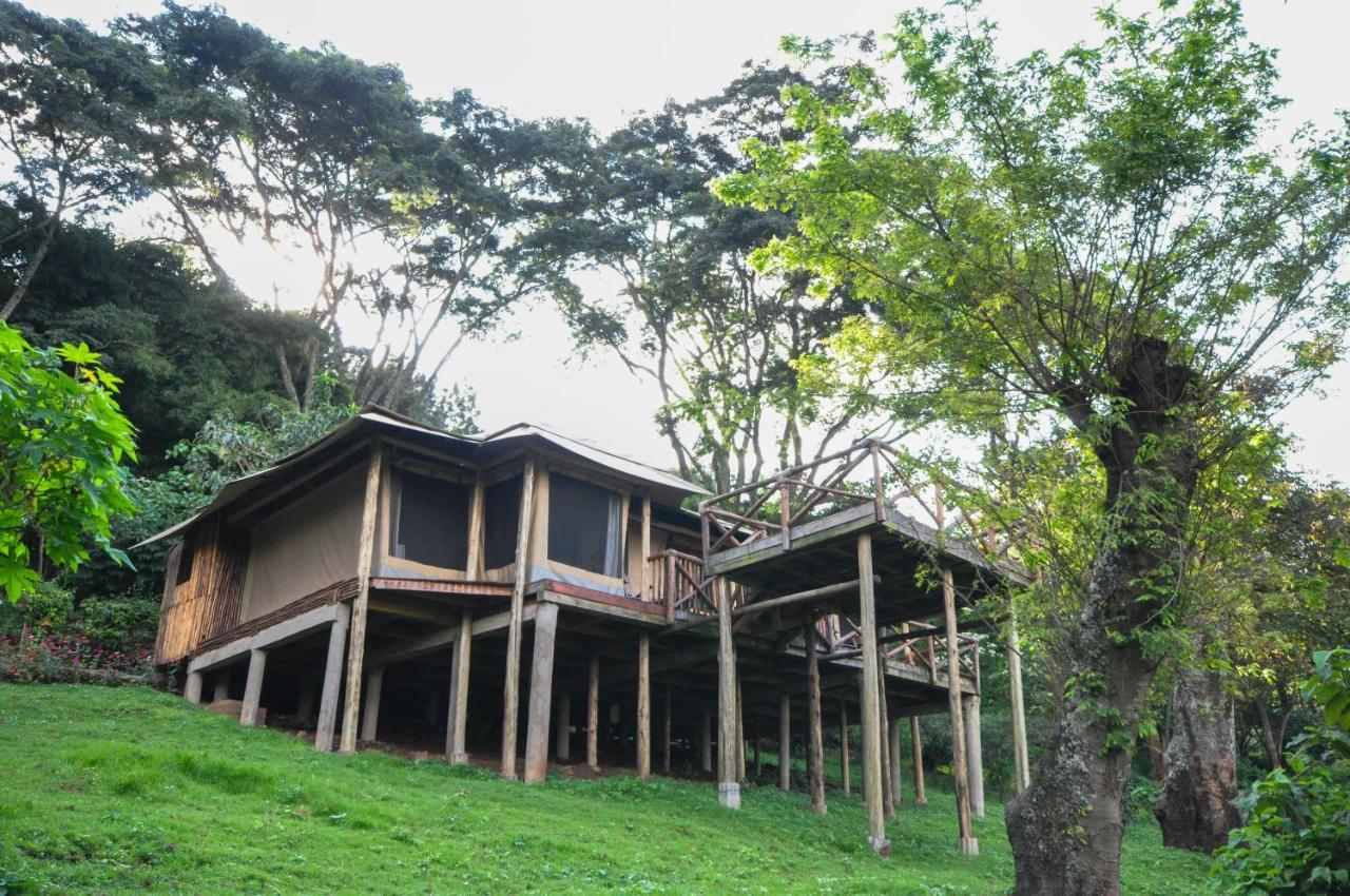 Karama Lodge Arusha Kültér fotó